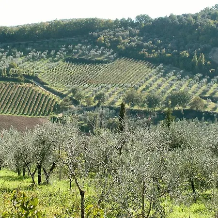 Casa Del Pastore Montefalco